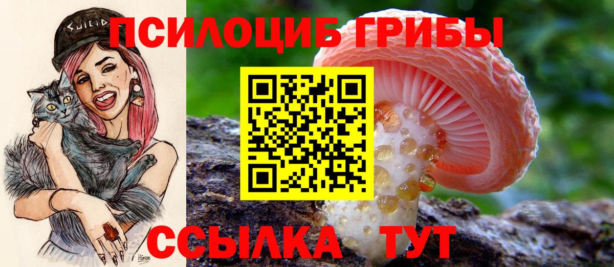 Галлюциногенные грибы Cubensis Урюпинск