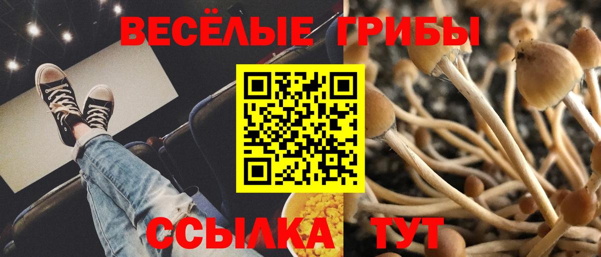 где купить   Галлюциногенные грибы GOLDEN TEACHER  Вход с VPN  Урюпинск 